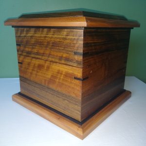 IMG_20240828_100641701